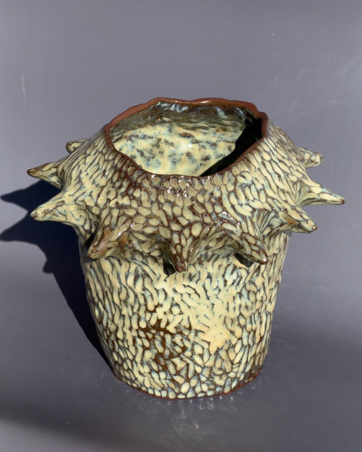'Swell' Vessel