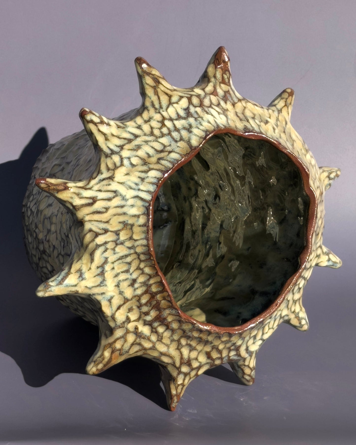 'Swell' Vessel