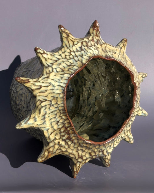 'Swell' Vessel